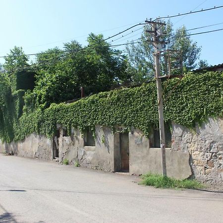 Hotel Zarzma Kutaisi Exteriér fotografie