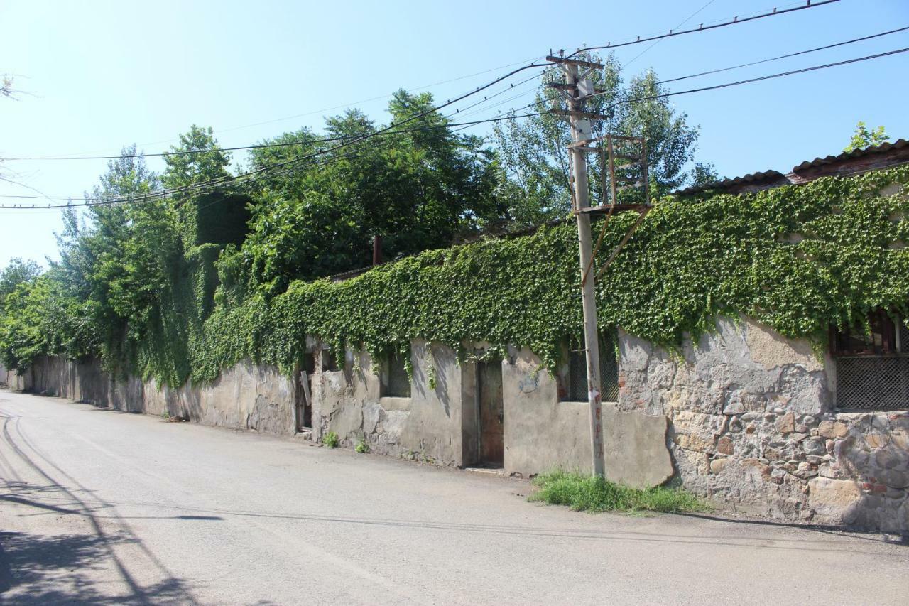 Hotel Zarzma Kutaisi Exteriér fotografie