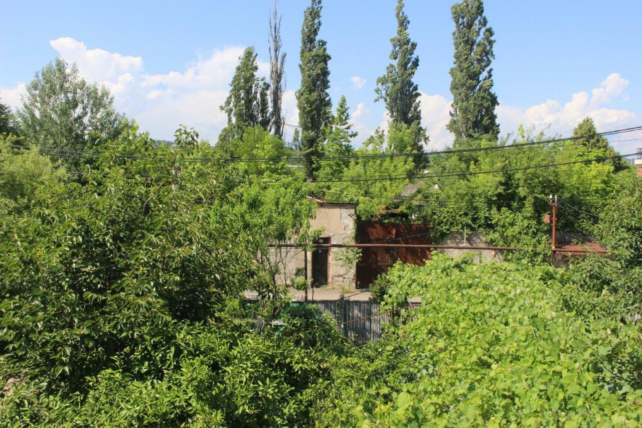 Hotel Zarzma Kutaisi Exteriér fotografie